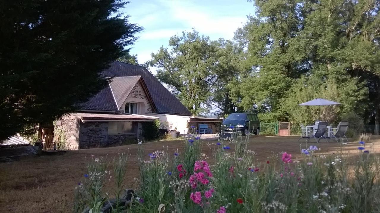 הוילה Mirandol-Bourgnounac Gite De La Maison Bleue מראה חיצוני תמונה